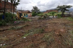 2000-metros-cuadrados-recuperados_09