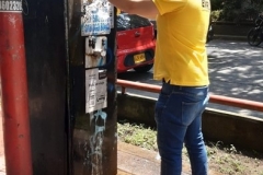 Limpieza-de-Totem-parque-de-las-tortugas-Cali