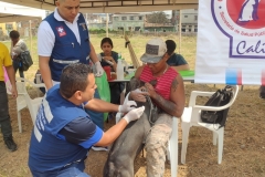 Ciudad-Paraiso-Un-entorno-Seguro-06