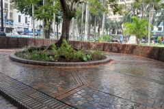 EDRU-renovacion-Plaza-de-Cayzedo-06