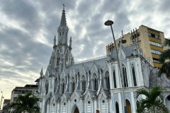 Jornada-de-limpoieza-Bulevar-del-Rio-04