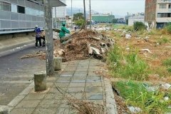 Jornada-de-limpieza-Ciudad-limpia_01