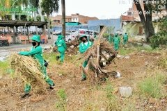 Jornada-de-limpieza-Ciudad-limpia_03