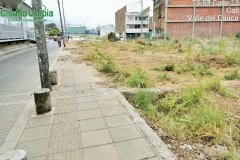 Jornada-de-limpieza-Ciudad-limpia_04