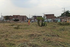 Jornada-de-limpieza-en-San-Pascual_03