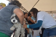 Jornada-de-Servicios-barrio-Obrero-14