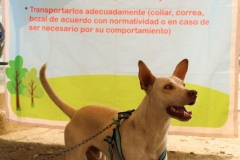 Jornada-integral-de-servicios-02