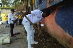 Jornada-de-Maxilimpieza-02