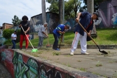 Jornada-de-Maxilimpieza-09