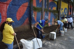 Jornada-de-Maxilimpieza-12