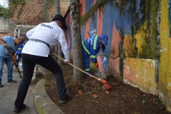 Jornada-de-Maxilimpieza-14