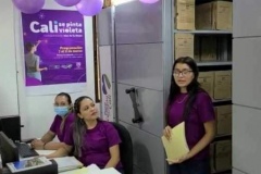 La-EMRU-Cali-se-pinta-violeta-06