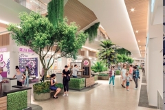 Lanzamiento-Centro-Comercial-08