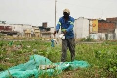 Jornada-limpieza-8000-m2_04