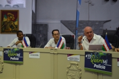 Presentacion-proyecto-de-acuerdo-al-concejo-01