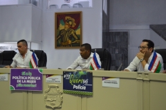 Presentacion-proyecto-de-acuerdo-al-concejo-07