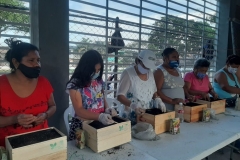 Taller-Huertas-caseras-Comuna-14_04