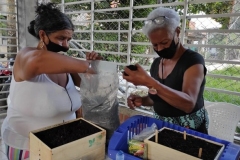 Taller-Huertas-caseras-Comuna-14_07