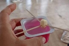 taller-de-Huertas-Urbanas_02