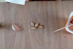 taller-de-Huertas-Urbanas_06