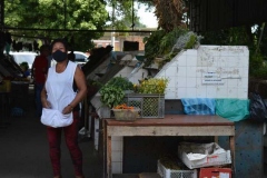 Visita-Plazas-de-Mercado_08