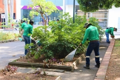 Zonas-te-Queremos-Cali-Parque-Versalles-05