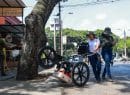 EDRU adelanta estudio clave sobre raíces de los árboles en la Avenida Sexta para la ejecución de su bulevar