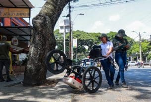 EDRU adelanta estudio clave sobre raíces de los árboles en la Avenida Sexta para la ejecución de su bulevar