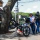 EDRU adelanta estudio clave sobre raíces de los árboles en la Avenida Sexta para la ejecución de su bulevar