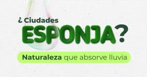 Ciudades Esponja: Cuando la Naturaleza se Convierte en la Mejor Ingeniera contra las Inundaciones